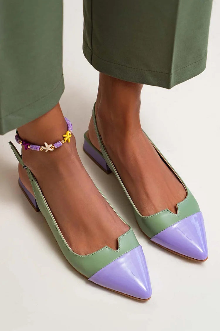 Pointed-Toe Ballet Flats with Two-Tone Detail