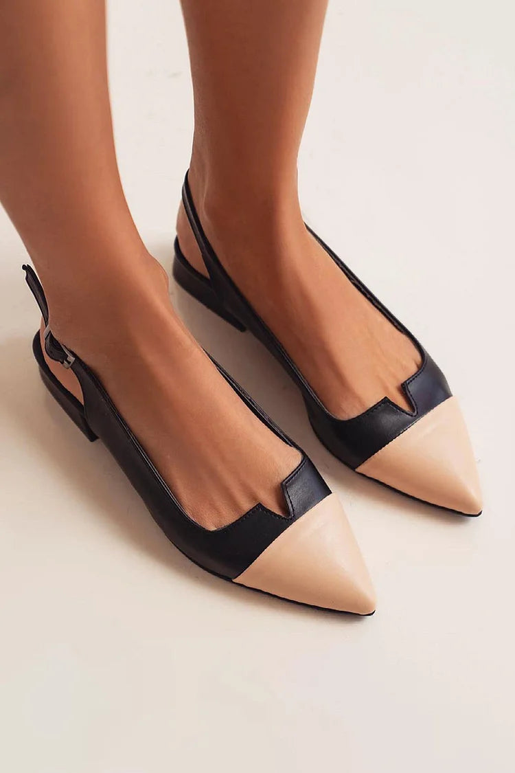 Pointed-Toe Ballet Flats with Two-Tone Detail